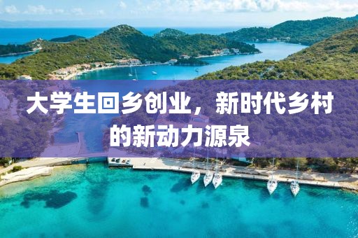 大学生回乡创业，新时代乡村的新动力源泉