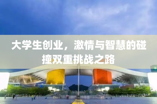 大学生创业，激情与智慧的碰撞双重挑战之路