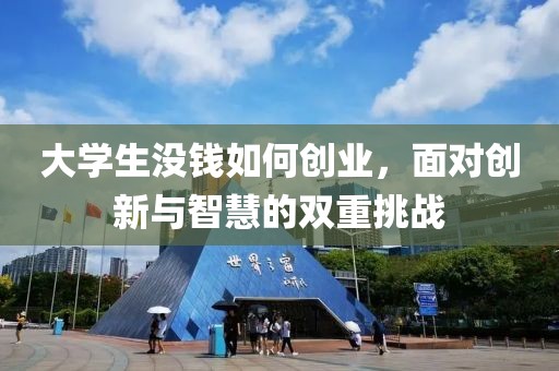 大学生没钱如何创业，面对创新与智慧的双重挑战