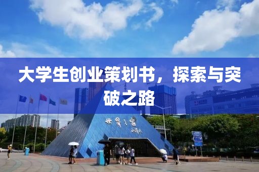 大学生创业策划书，探索与突破之路