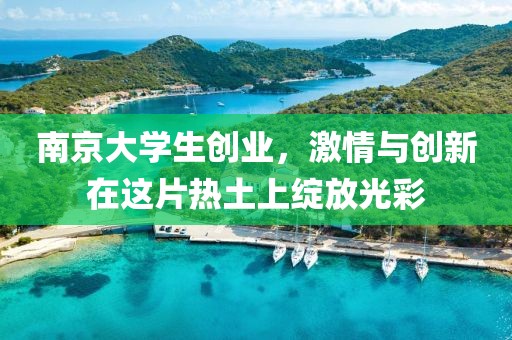 南京大学生创业，激情与创新在这片热土上绽放光彩