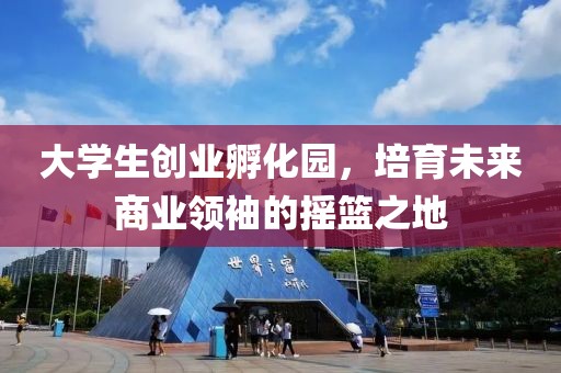 大学生创业孵化园，培育未来商业领袖的摇篮之地