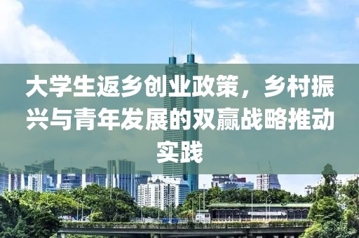 大学生返乡创业政策，乡村振兴与青年发展的双赢战略推动实践