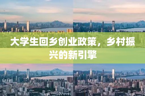 大学生回乡创业政策，乡村振兴的新引擎