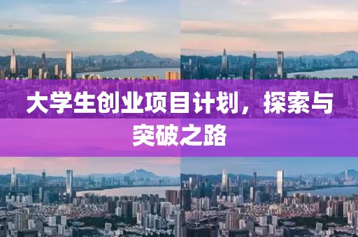 大学生创业项目计划，探索与突破之路