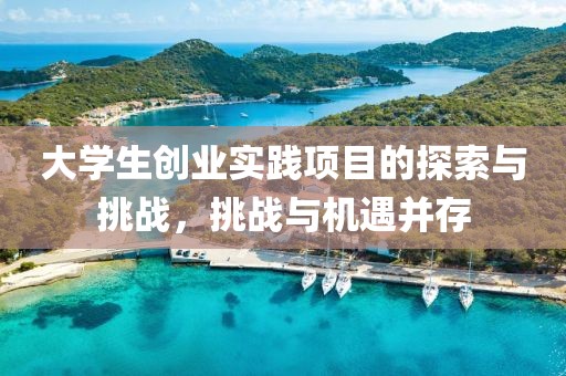 大学生创业实践项目的探索与挑战，挑战与机遇并存