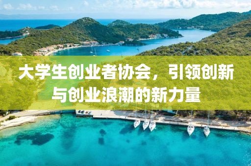 大学生创业者协会，引领创新与创业浪潮的新力量