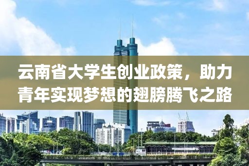 云南省大学生创业政策，助力青年实现梦想的翅膀腾飞之路