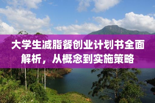 大学生减脂餐创业计划书全面解析，从概念到实施策略