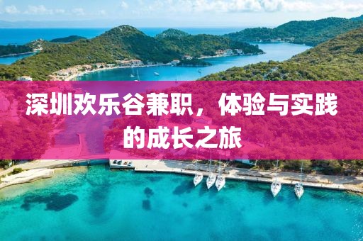 深圳欢乐谷兼职，体验与实践的成长之旅