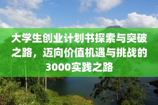 大学生创业计划书探索与突破之路，迈向价值机遇与挑战的3000实践之路