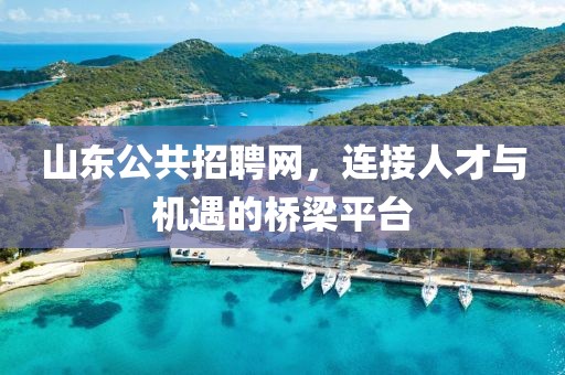 山东公共招聘网，连接人才与机遇的桥梁平台