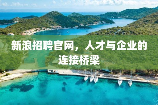 新浪招聘官网，人才与企业的连接桥梁