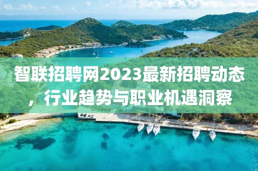 智联招聘网2023最新招聘动态，行业趋势与职业机遇洞察