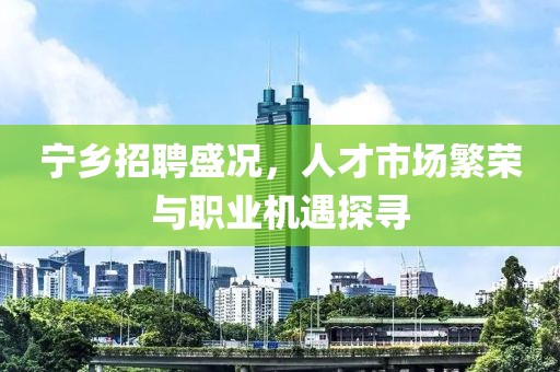 宁乡招聘盛况，人才市场繁荣与职业机遇探寻