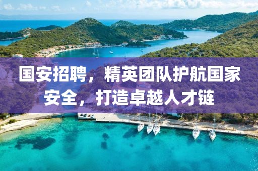 国安招聘，精英团队护航国家安全，打造卓越人才链