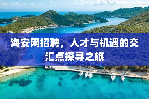 海安网招聘，人才与机遇的交汇点探寻之旅