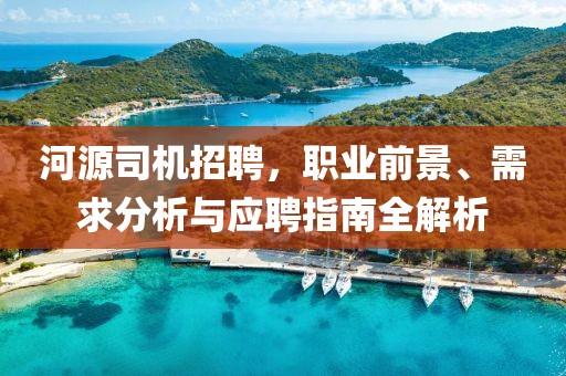 河源司机招聘，职业前景、需求分析与应聘指南全解析