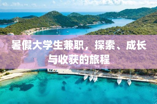 暑假大学生兼职，探索、成长与收获的旅程