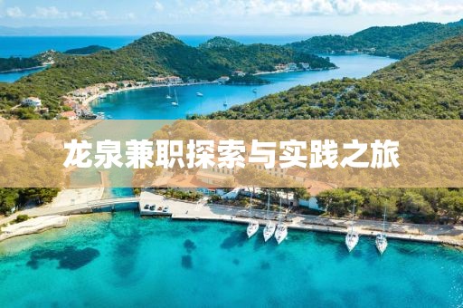 龙泉兼职探索与实践之旅