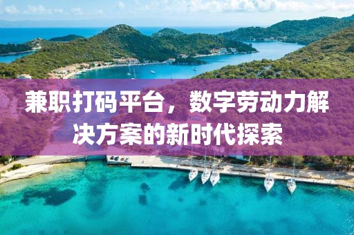 兼职打码平台，数字劳动力解决方案的新时代探索