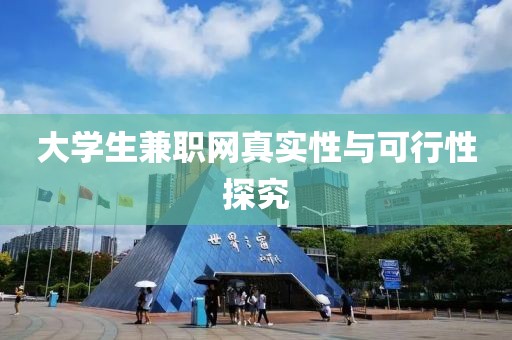 大学生兼职网真实性与可行性探究