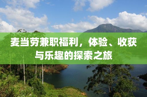 麦当劳兼职福利，体验、收获与乐趣的探索之旅